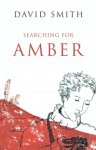 Searching for Amber