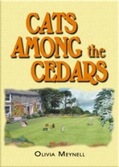 Cats Among the Cedars [Jan]