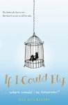 If I Could Fly