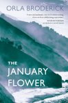 The January Flower